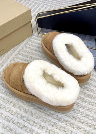 Уггі ugg tazzlita5 фото