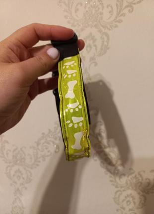 Ошейник для щенка собаки светящийся