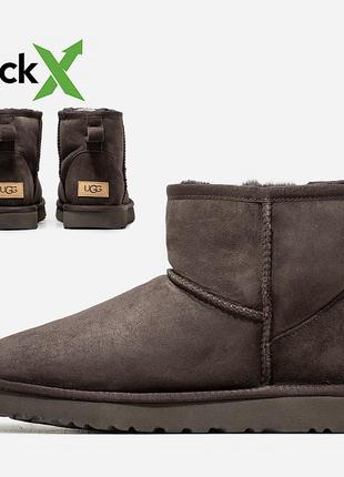 Ugg classic mini зимові чорні уггі унісекс жіночі та чоловічі теплі, стильні чоботи чорні, сірі, біжеві, коричневі9 фото