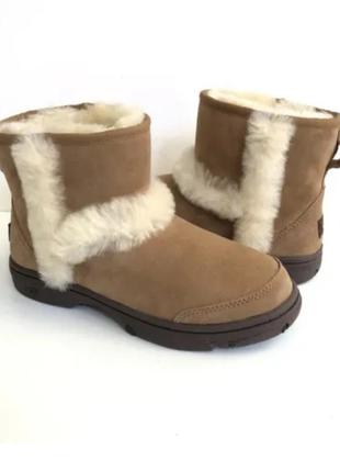 Угги ugg р.365 фото