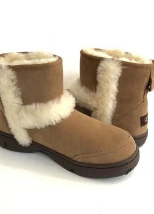 Угги ugg р.36