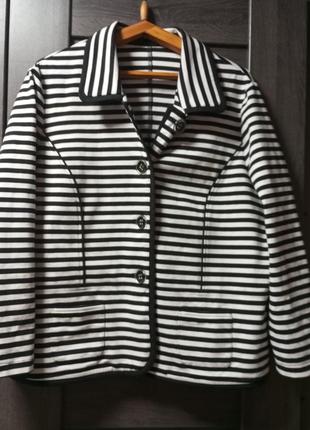 Полосатий жакет хл