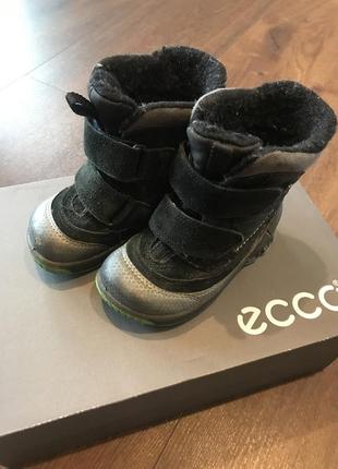 Дитячі зимові чобітки ecco biom gore-tex natural motion 22 розмір