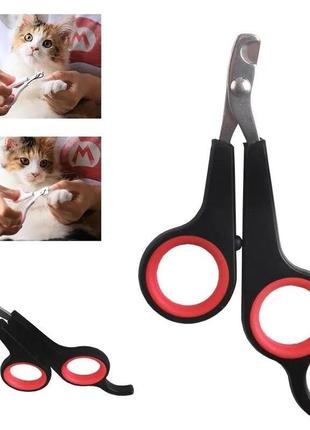 Ножницы для ногтей домашних котов и собак4 фото