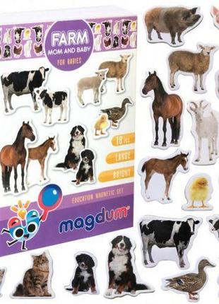 Набір магнітиків "домашні тварини"