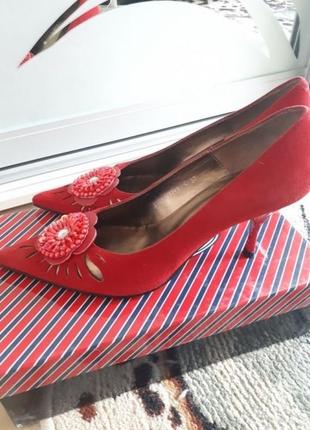 Туфлі tervolina, шкіра. нові