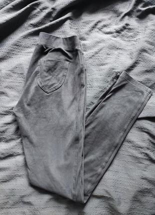 Лосіни легінси штани теплі h&m якісні mango замшеві zara велюрові сірі conte6 фото