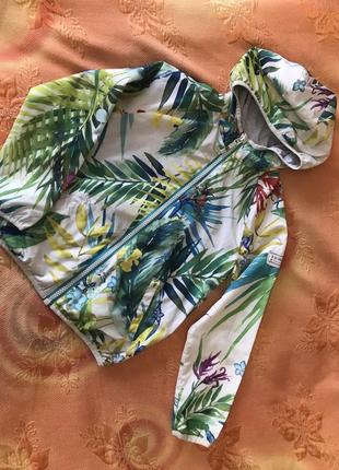 Вітровка, куртка next