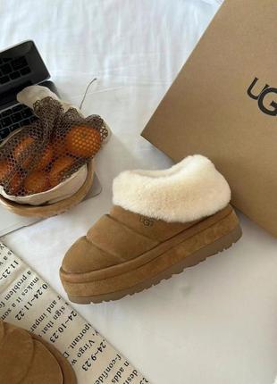 Уггі ugg tazzlita1 фото