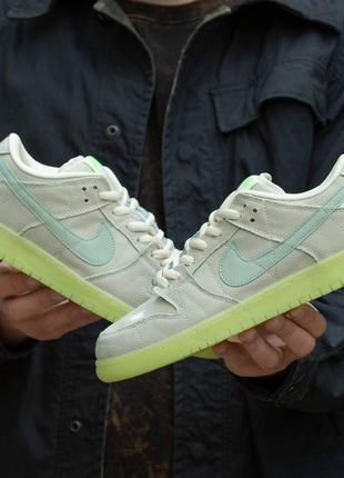 Мужские кроссовки-nike sb dunk mummy
