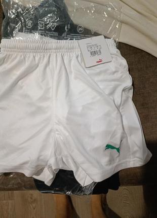 Шорти