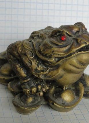 Китайская денежная жаба.1 фото