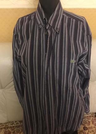 Фірмова сорочка