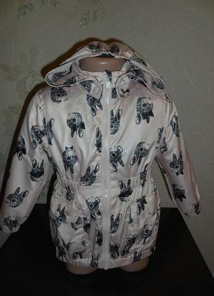 Ветровка с кроликами h&m  подклад флис + полиестер, 2-3 года (98 см)