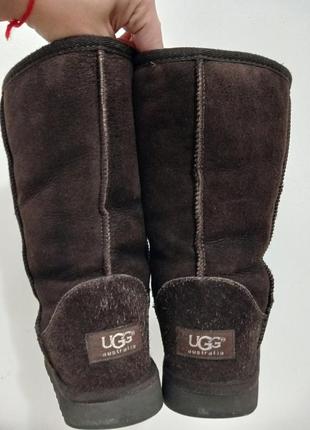 Чоботи ugg4 фото