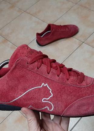 Puma cat speed top