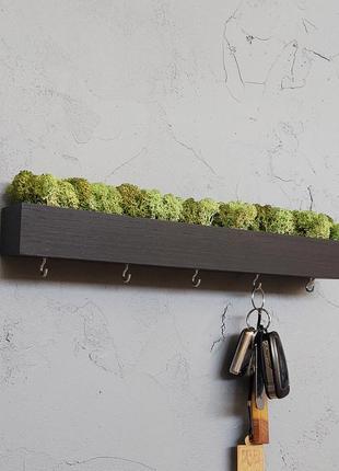 Ключниця дерев'яна чорна з стабілізованим мохом. 35х5 см2 фото