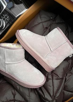 Уги ugg mini4 фото