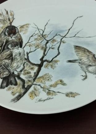 Коллекционная тарелка kaiser серия "птенцы".диаметр-20см.1 фото