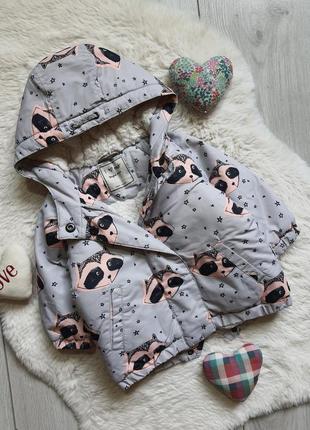 Куртка 6-9 міс дівчина