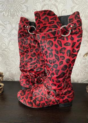 Стильні сапоги шкіра нерпи