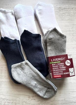 Термо-шкарпетки низкі livergy