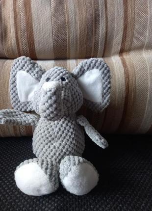 Слоник пищит, ушки шелестят