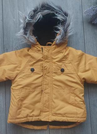 debenhams rocha little rocha