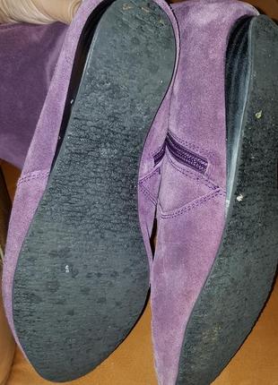 Фиолетовые ботфорты замша viva la diva р6-39