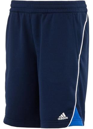 Подростковые синие спортивные шорты adidas