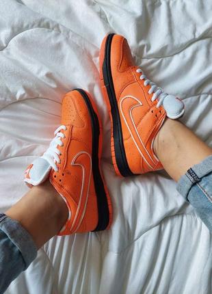 Кроссовки nike sb dunk low orange lobster6 фото