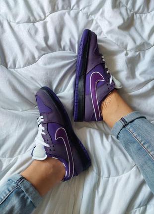 Кросівки nike sb dunk low purple lobster3 фото