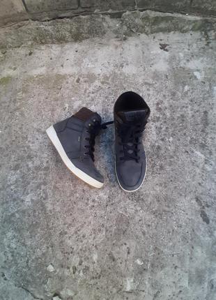 Мужские зимние ботинки lowa molveno gore tex