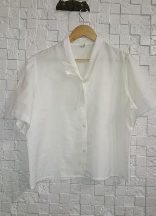 Блузка блуза кофта жіноча біла 50-52