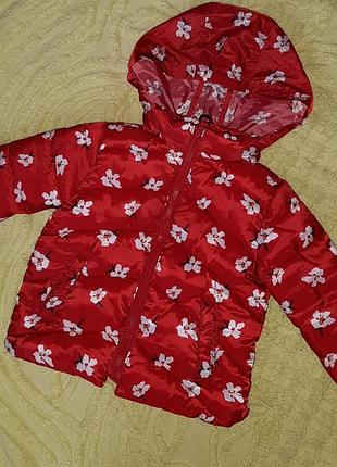 Куртка демисезон zara baby 80 см для девочки  новая