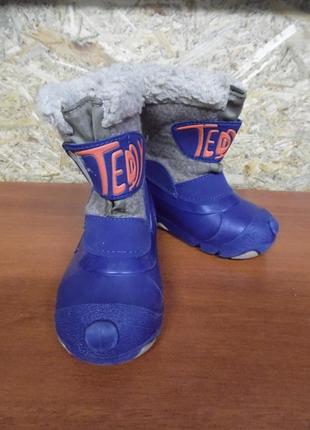 Сапоги teddy*