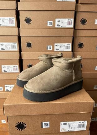 Женские угги ugg ultra mini platform khaki2 фото