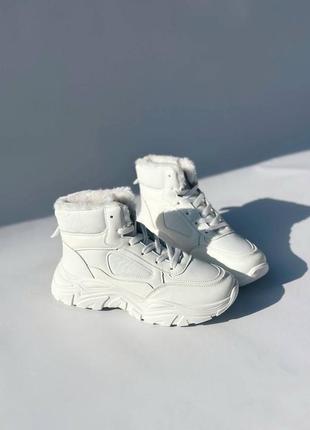 Женские зимние кроссовки sneakers triangle