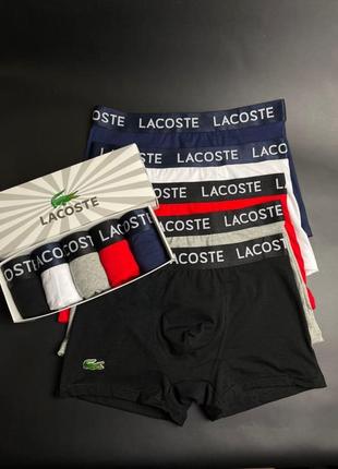 Набор мужских трусов lacoste dark