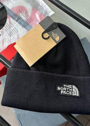 Шапка the north face [норс]