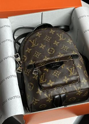 Louis vuitton palm springs mini brown/black