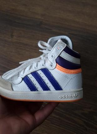 Кеды. кроссовки,хайтопы adidas.
