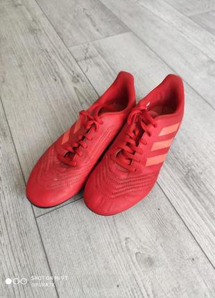 Футбольні бутси дитячі adidas predator 6/38/245 оригінал