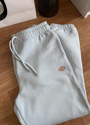 Спортивні штани dickies