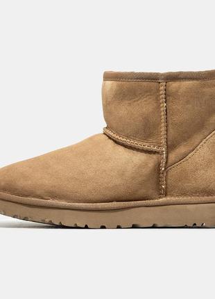 Мужские угги ugg classic mini3 фото