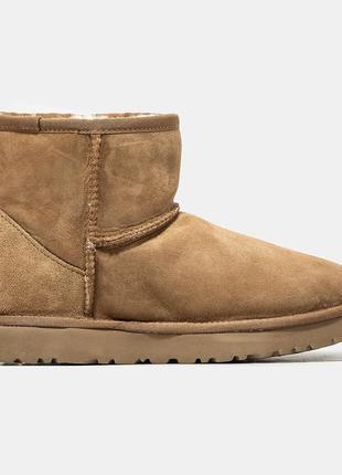 Мужские угги ugg classic mini6 фото