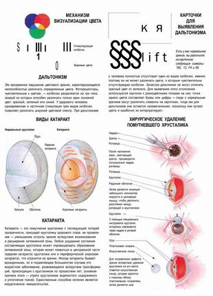 Зрение. механизм визуализации цвета - плакат