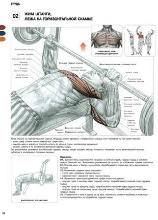 Груди. жим штанги, лежачи на горизонтальній лаві - плакат