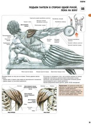 Подъемы гантелей в строну одной рукой, лежа на боку - постер
