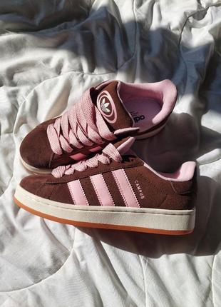 Кросівки adidas сampus brown pink